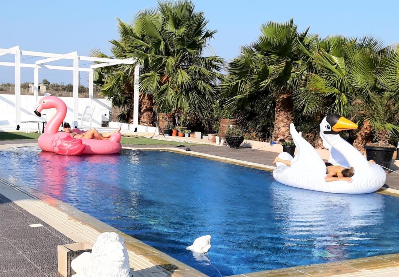 The Pervoli Studio - Pool - Close To Beach ลาร์นาคา ภายนอก รูปภาพ